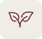 Research Backed Ingredients That Work Synergistically